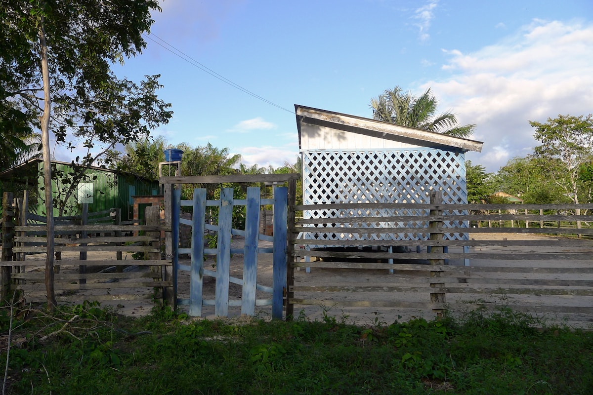 Adventure in the Amazon Rainforest